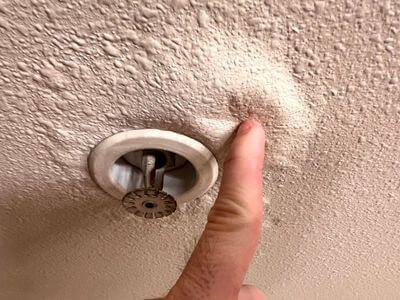 About Zynthex Haven - water damage restoration experts in Bellflower